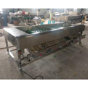 Máquina Clasificadora de Frutas y Verduras en Oferta, Máquina Clasificadora de Dátiles, Cebollas y Nueces por Tamaño - Product Image 6