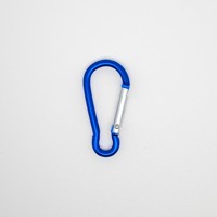 Porte-clés mousquetons ronds en alliage de zinc bon marché, imprimés en typographie, pour l'escalade, le camping et les accessoires de plein air, tendance mode