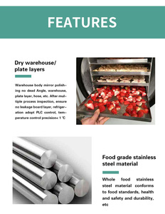 Secador de <span class=keywords><strong>frutas</strong></span> y verduras al vacío, máquina de congelación y secado al vacío - Product Image 4
