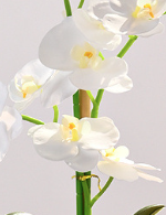 Plante en pot d'orchidée Phalaenopsis artificielle au toucher réel, tige haute, fausse orchidée papillon, bonsaï