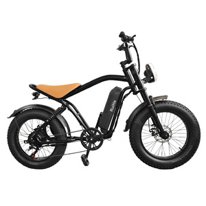 Ruihe Y8 Nueva llegada Bicicletas eléctricas Ebike Bicicletas 48V Nuevo diseño Fat Tire Bicicleta eléctrica 20 pulgadas Fat Tire E-Bike para hombres - Product Image 5
