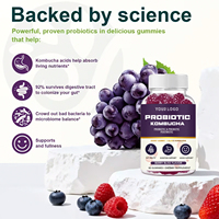 Gummies de kombucha probiotiques en gros pour la santé intestinale des adultes et le soutien digestif, avec extrait de kombucha
