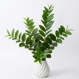 H-897 <span class=keywords><strong>Arbre</strong></span> à monnaie artificiel en <span class=keywords><strong>eucalyptus</strong></span> à <span class=keywords><strong>prix</strong></span> de gros, avec tige à feuille unique Zamiifolia, pour décorations de maison et de mariage - Product Image 6