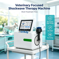 Fokussiertes Stoßwellentherapiegerät für Schnellere Schulterschmerzlinderung Elektromagnetische Stoßwellentherapie Physiotherapie