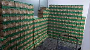 One Piece 25. Yıl Dönümü Hatıra Albümü ONE PIECE Crossover OPCG Promosyon Kartı, Yüksek Koleksiyon ve Yatırım Potansiyeli ile - Product Image 6