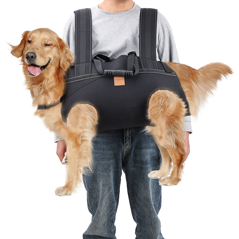 Adult Carriers Durable, Convenient, and Versatile Solutions