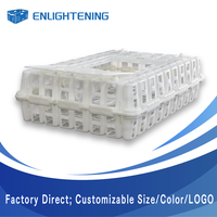 Cage de transport pour poulets en plastique 605x460x155mm, boîte à poussins divisée, directement de l'usine