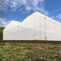 Serre commerciale avec système de culture hydroponique Serre à tunnel en poly agricole à travée multiple pour l'extérieur