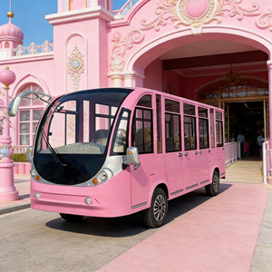 Bus touristique électrique à énergie nouvelle, couleur personnalisée, véhicule intelligent au lithium pour les centres de villégiature, vente directe usine - Product Image 1