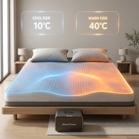 Système de refroidissement de lit hydronique, surmatelas à refroidissement par eau, contrôle intelligent de la température, solution pour un sommeil optimal