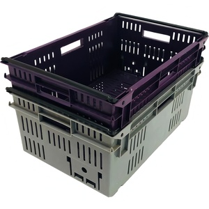 Cesta <span class=keywords><strong>de</strong></span> Exhibición <span class=keywords><strong>y</strong></span> Transporte para Mercado <span class=keywords><strong>de</strong></span> Agricultores, Apilable <span class=keywords><strong>y</strong></span> Encajable, Diseño Atractivo con Asas <span class=keywords><strong>de</strong></span> Plástico Resistentes, Estimula la <span class=keywords><strong>Compra</strong></span> por Impulso - Product Image 5