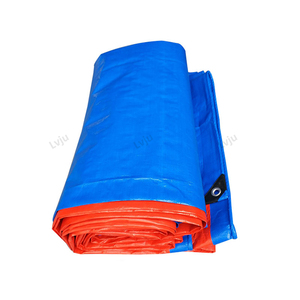 Lvju Poly Tarp 32' X 32' 10x10m Linyi Eco Friendly Tarpaulin for Carwash <strong>Ground</strong> <strong>Sheet</strong> - Product Image 1