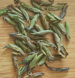 KAIYANGE Yunnan Pu'er DA XUE SHAN Daxue montaña Pu'er té crudo salvaje antiguo árbol púrpura brote té dulce Néctar fragante brote <span class=keywords><strong>de</strong></span> té - Product Image 2