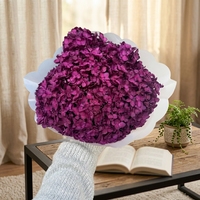 Groothandelsprijs Hoge Kwaliteit Gedroogde Hortensia Bloemblaadjes 15-17cm voor Huis Bruiloft Moederdag Decoratie - Meerdere Kleuren