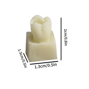 Modelos de Resina para Práctica de Odontología y Rellenos Dentales, Material Plástico Manual para Prácticas de Resina Dental - Product Image 4