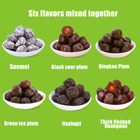 Vegan Geconserveerde Fruit Snack 508g Zakje - Gekonfijte Zoete & Zure Mix met Gedroogd Fruit