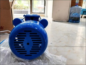 Motor Asíncrono Trifásico de la Serie YVF2, 380v, 2.2kw, 3hp, para Uso Industrial - Product Image 3