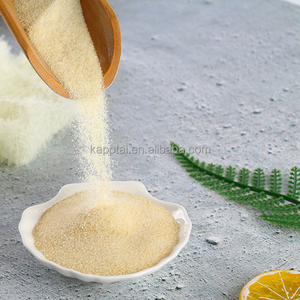 Gelatina Comestible de Piel Bovina 220 Bloom, Espesante para Carnes y Postres, pH 4.0-7.2, Viscosidad 1.0-5.3 MPa.s - Product Image 1