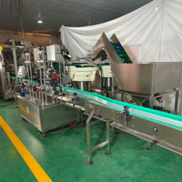 Ligne de remplissage entièrement automatique électrique 6000BPH 1L pour shampoing et détergent avec machine de tri, de bouchage et d'étiquetage des bouteilles