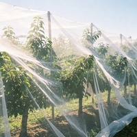 Orchard Care Virgin HDPE Anti-insectennet UV-bestendig fijnmazig net voor fruitboom- en gewasbescherming, heavy-duty landbouwnet