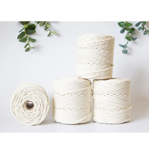 <span class=keywords><strong>Fil</strong></span> de <span class=keywords><strong>macramé</strong></span> en <span class=keywords><strong>coton</strong></span> torsadé coloré recyclé de 5 mm, corde de <span class=keywords><strong>macramé</strong></span> épaisse - Product Image 5