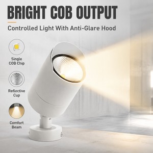 Projecteur LED COB basse tension OEM DC24V haute efficacité 110lm/W IP65 pour éclairage extérieur de villas, immeubles commerciaux et promoteurs immobiliers - Product Image 3