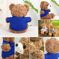 Ours en peluche personnalisé avec logo, sweat-shirt en coton PP doux, jouet en peluche, cadeau d'anniversaire promotionnel unisexe