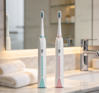Brosse à dents électrique sonique rechargeable, charge de type C, 30 000 vibrations par minute, soins bucco-dentaires à domicile