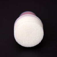 Flacons vides compressibles de 75 ml avec embouts éponge de 25 mm pour marqueurs de graffiti, bingo, et points de peinture, avec grande pointe éponge, conteneur de peinture