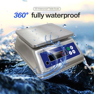 SHW-S5 3 किलो 6 किलो 15 किलो 30 किलो का वैकल्पिक डबल पक्षीय प्रदर्शन - Product Image 2