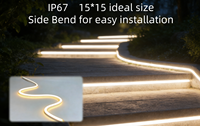 Lampu Strip Neon Fleksibel DC24V Lumen Tinggi IP67 13.5W/M Tahan Air Silikon untuk Dekorasi Taman/Lanskap