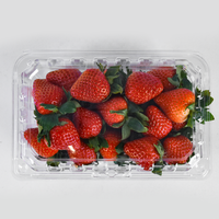 Boîte d'emballage transparente en plastique PET pour fruits frais, plateau d'emballage pour fraises, vente en gros Lesui