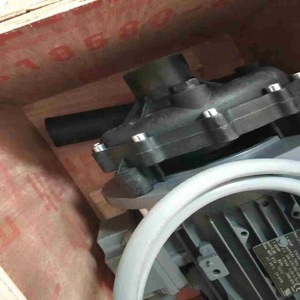 ปั๊มน้ำเพอร์เฟค P 50 SS304 H D 106 1.5KW 50Hz แบบแรงเหวี่ยง ระยะส่งน้ำ 3 เมตร - Product Image 2