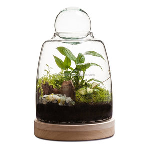 Soho Terrarium <span class=keywords><strong>bouteille</strong></span> hydroponique plante vases fait à la main haute Borosilicate Terrarium <span class=keywords><strong>bouteille</strong></span> <span class=keywords><strong>en</strong></span> <span class=keywords><strong>verre</strong></span> pour plante <span class=keywords><strong>vase</strong></span> <span class=keywords><strong>en</strong></span> <span class=keywords><strong>verre</strong></span> - Product Image 4