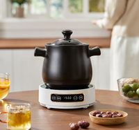 Cuisinière à thé électrique en céramique, petite, ronde, portable, pour la maison et l'extérieur, 110V