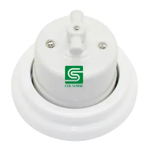 porcelain rotary switches and vintage electrical ceramic wall schuko plug sockets