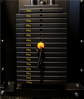 Équipement essentiel de gymnastique commerciale Cadre d'entraînement intégré multifonctionnel Tout en un Fitness Gym Smith Machine Piles de poids