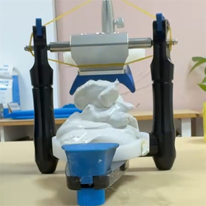 Materiales de dentista, polvo de piedra <span class=keywords><strong>Dental</strong></span>, uso de súper anhidrita para articulador <span class=keywords><strong>Dental</strong></span> tipo CN/<span class=keywords><strong>CR</strong></span>/BN - Product Image 3