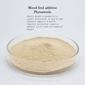 Функциональная пищевая добавка: аминокислоты кормовой категории для стимуляции роста птицы и улучшения качества мяса, повышения производительности - Product Image 2