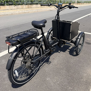 Triciclo <span class=keywords><strong>El</strong></span>éctrico de Última Generación con Marco de Aleación y Carrocería Abierta, Batería de 48V, Frenos Hidráulicos, Motor de 250W, Autonomía de 55-60KM, 1 <span class=keywords><strong>Pasajero</strong></span> - Product Image 3