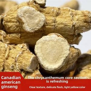 Poudre d'extrait de ginseng sauvage canadien 6 ans Suppléments d'extrait de fines herbes pour brassage à brassage doux et court - Product Image 2