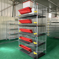 Équipement d'élevage avicole commercial de conception Higer, alimentation automatique de volailles, type H, pour 300 cailles pondeuses sur 5 niveaux