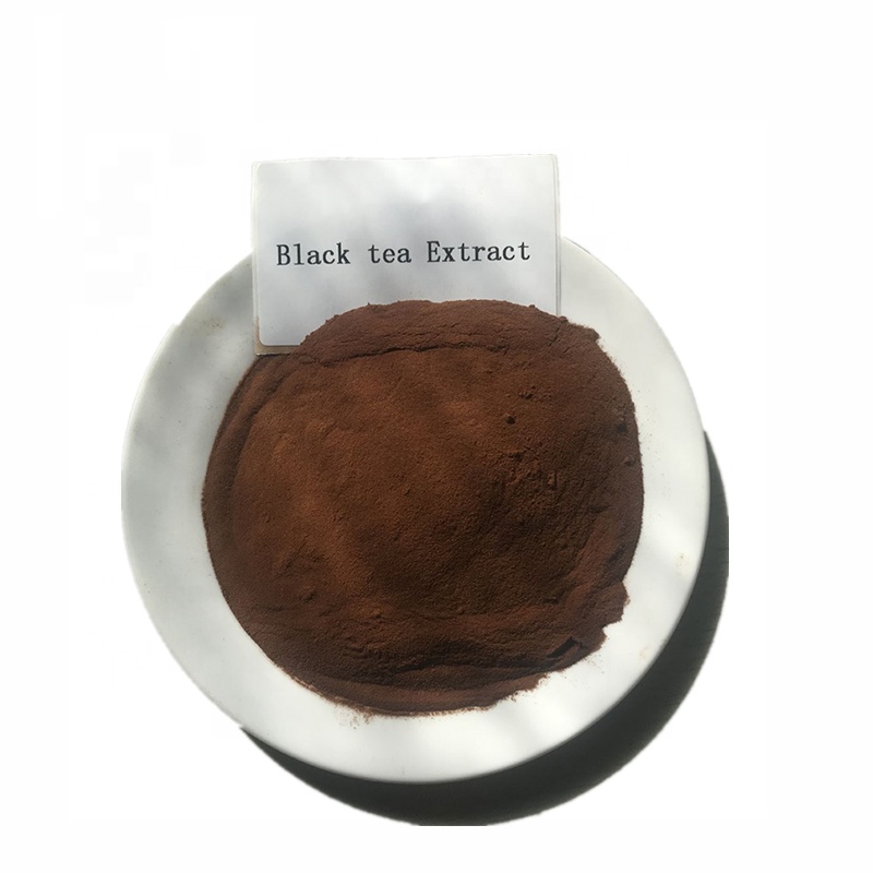 100% Pure Natural Black Tea Extract in OEM Form Food Grade Fruit Extract Powder Vacuum Packed in Drums
