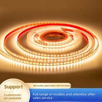 Bandes LED en gros 12V/24V auto-adhésives haute luminosité pour projets et mariages ; 120 LED 2835 flexibles