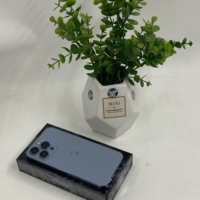 iPhone 6.1 pouces débloqué d'occasion, grade A, appareil photo 3MP, batterie 120Hz 3095mAh, version US, iPhone 13/13 Pro