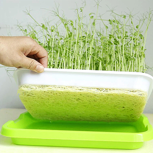 Vassoio Micro verde autodidatta doppio vassoio idroponico per vivaio - Product Image 3