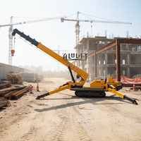 EPA Engine Europe 5 Engine 3 Ton 5 Ton 10 Ton Hydraulic Mini Spider Crane