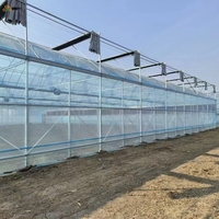 Film de serre OEM en polyoléfine (PO) diffuseur de lumière, largeur et épaisseur personnalisables, résistant aux UV, fabricant de film agricole