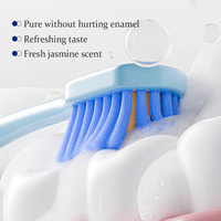 KORMESIC Vente en gros de poudre dentifrice probiotique 60g sous marque privée, élimination des taches jaunes, blanchiment des dents, vente en gros OEM
