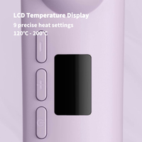 Nouveau Lisseur de Cheveux Double Usage avec Sèche-Cheveux à Flux d'Air, Lisseur Cheveux Humides et Secs, pour Cheveux Bouclés et Lisses